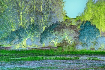 L 045B
